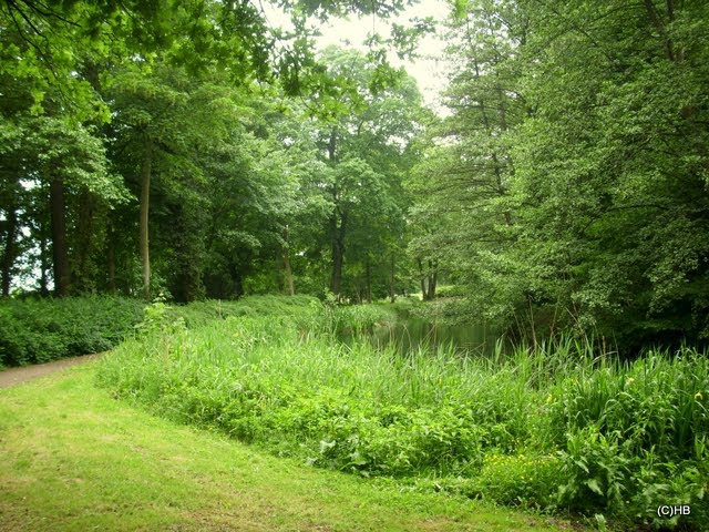 Bremen-St.Magnus, Knoop`s Park im Mai 2011, der untere Teich by Heinz.Bock