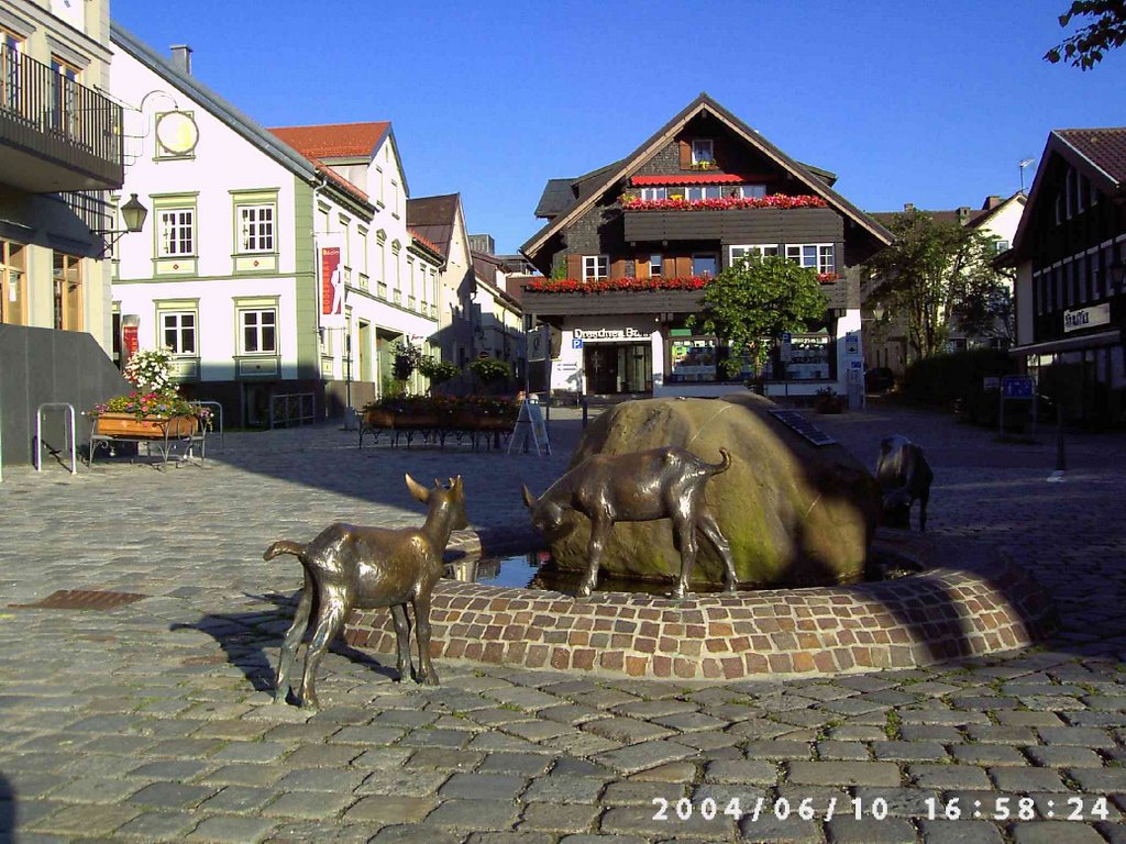 Immenstadt Zentrum by Nico L.