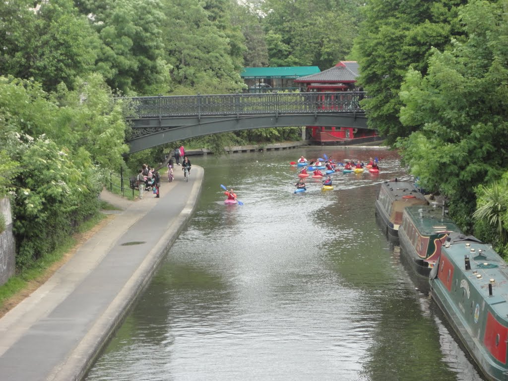 Canoests by Shahnaz Gilani