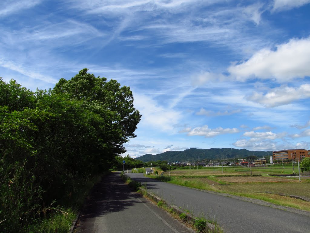 山口秋吉台自転車道 by erlang_jp