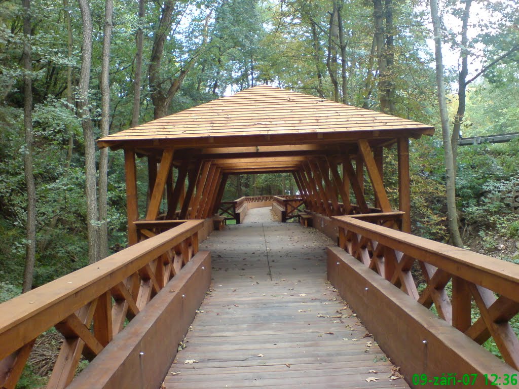 2007, Česká republika, Jihomoravský kraj, Hrad Veveří, rekonstruovaná lávka přes říčku Veverku pod hradem, délka 80,55m, šířka 2m by Petr19, Zastávka, CZ