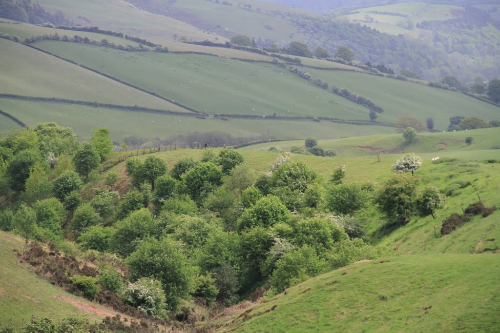 Looking down from the Kerry Ridgeway by SBower