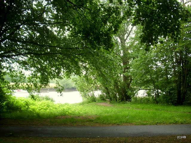 Bremen-St.Magnus, Knoop`s Park im Mai 2011, der Blick zur Lesum by Heinz.Bock