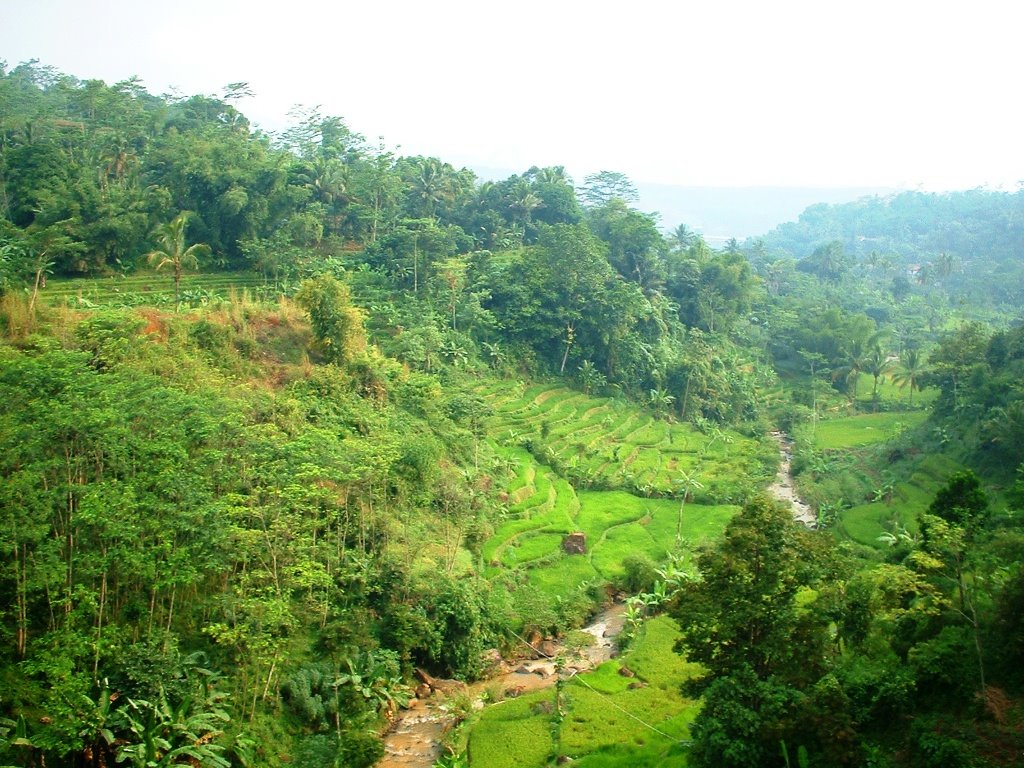 Valley near Cilame [View from the train] by -christian-