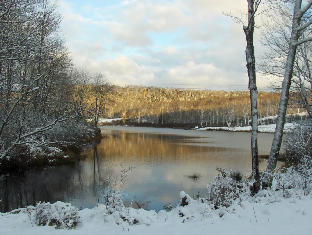 Pierce Pond Newman Rd by Robert Richards