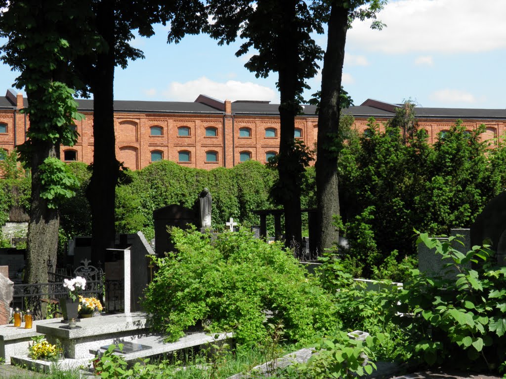 Cmentarz rzymsko-katolicki / roman catholic cemetery by tomek sw