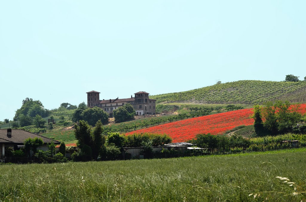 Cascina Giannetta con papaveri by Marco Mandirola