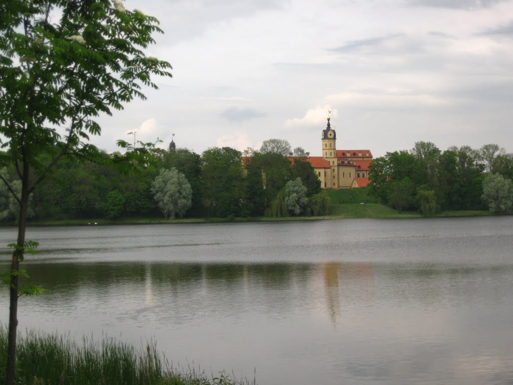 Castle Lake and Niasvizh Castle by Anuar T