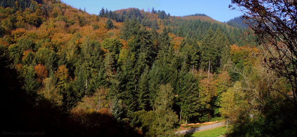 Naturpark Südschwarzwald...Käsacker. by Pierre  Likissas