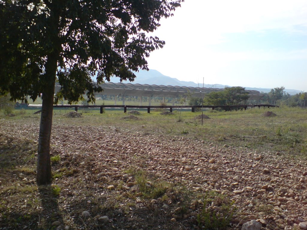 Paseo de la estación de Alcalá Universidad a la UAH. (2) by XADE