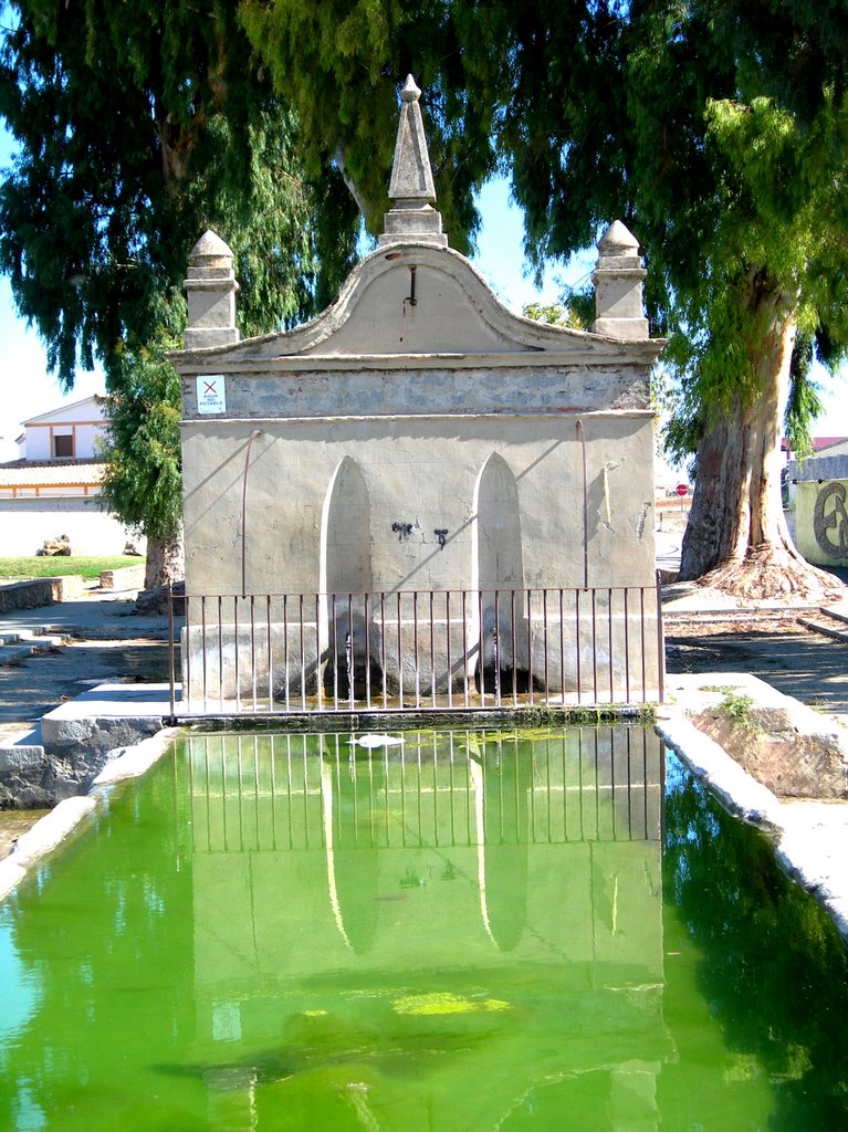 Fuente del Pilar vista de Frente by José Mariscal