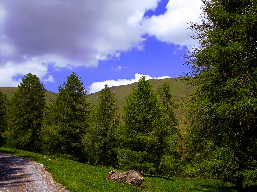 Salendo da Monesi al Saccarello © 2011 by Paolo Lombardi