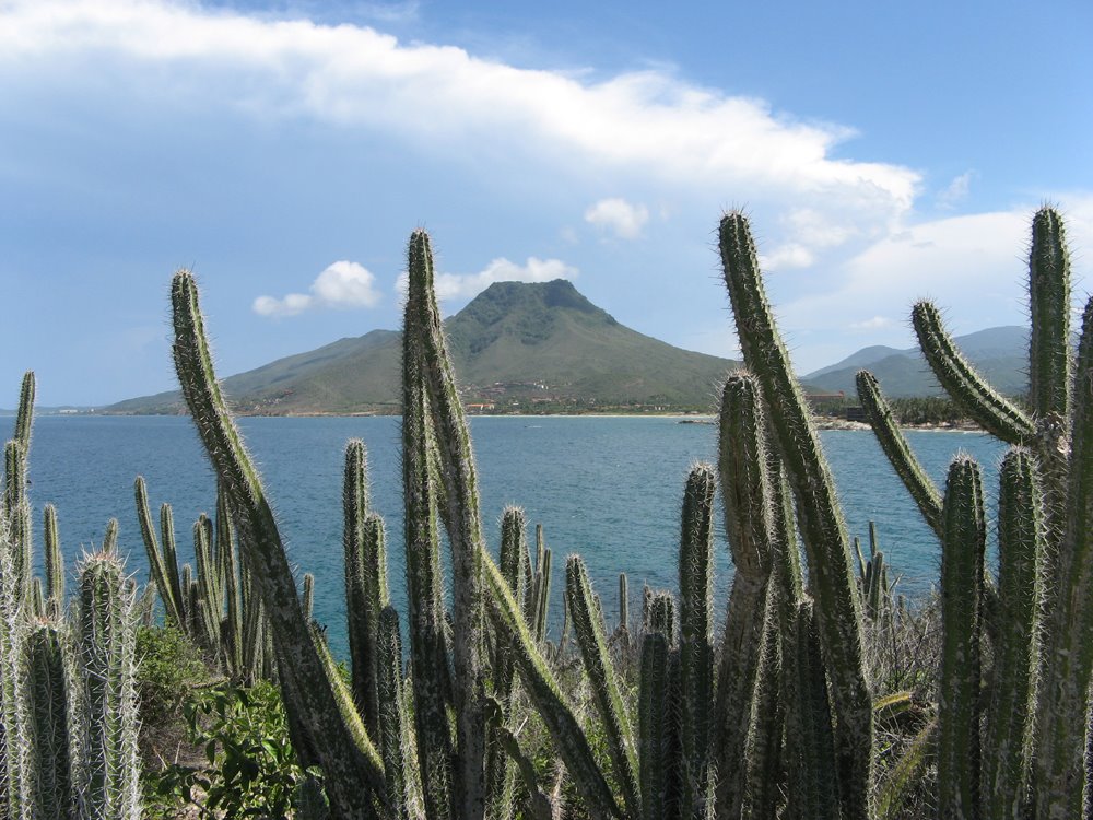 Cerro Guayamury desde Playa Parguito by alexrex