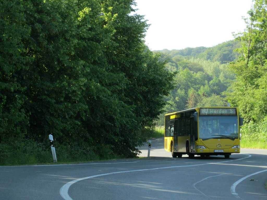 Essen - Dilldorfer Str - Bus 180 Werden S - Photo By W.Oliver.Santos © 2011 by Street Photo-NRW-by Wsan7