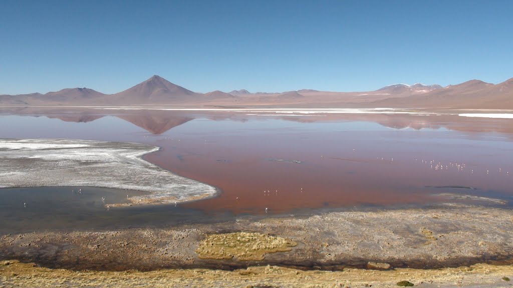 Laguna Colorada by MF.