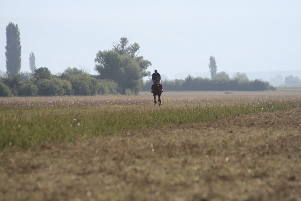 Sinjsko polje by Tynchy