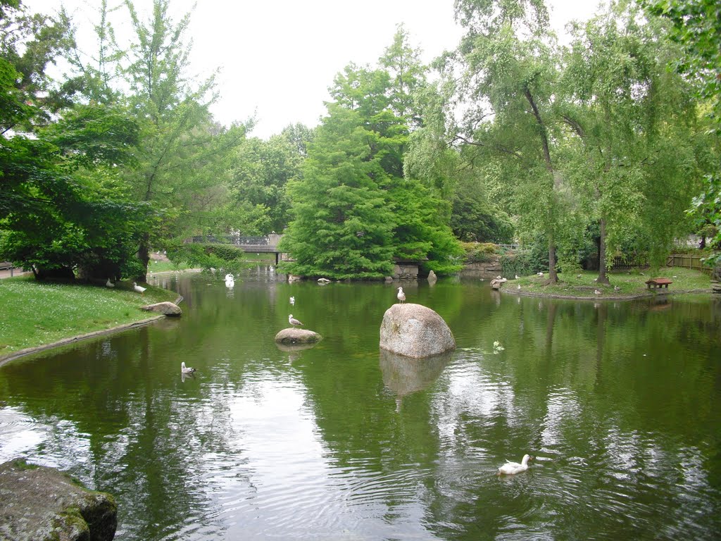 Naturaleza Viva. Parque de Castrelos. Vigo. España. by amadeus2050