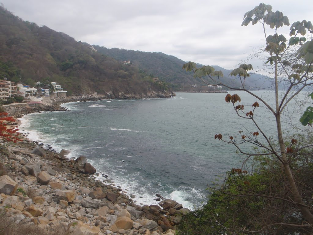 Playa de pto vallarta by bcmbcs