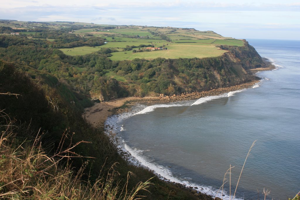 HAYBURN WYKE NEAR STAINTONDALE ON THE NORTH YORKSHIRE COAST ABOUT 8Km NORTH OF SCARBOROUGH. by harold and cindy