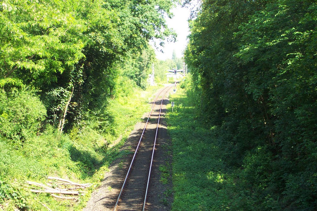 Blocksignal vor Bahnübergang by Hurrug