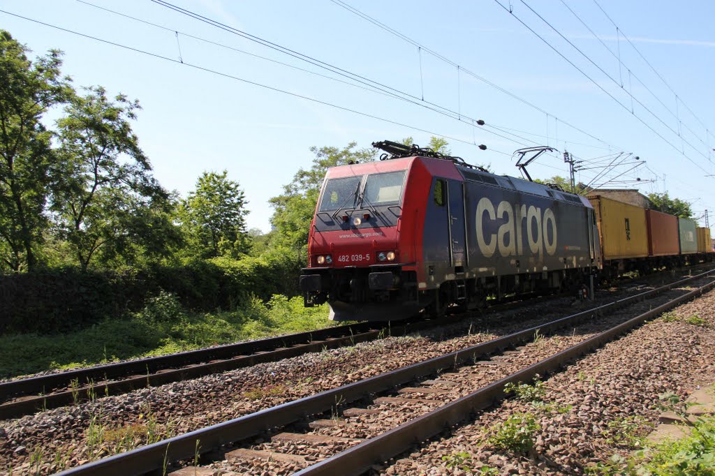 482 039-5 der SBB Cargo bei der Anfahrt auf den Münster-Viadukt by Oliver Bühler