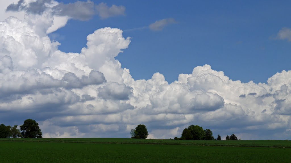 Bei Bad Steben by Alfred Walter