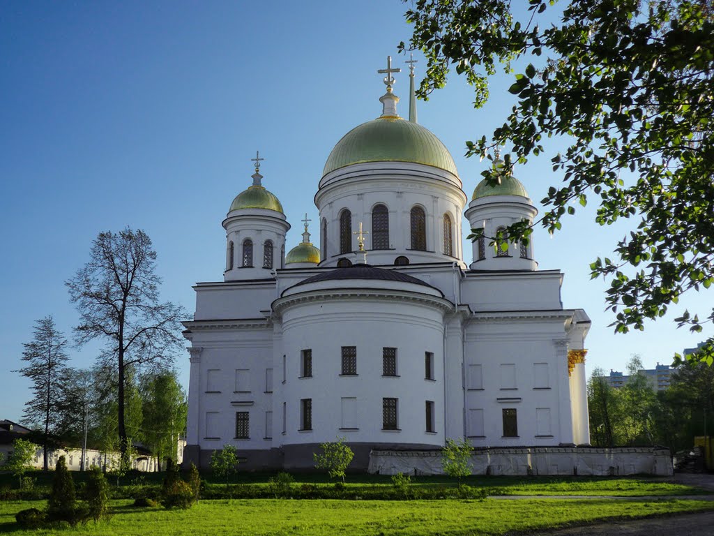 Собор Александра Невского / Alexander Nevsky Cathedral by Artysta343