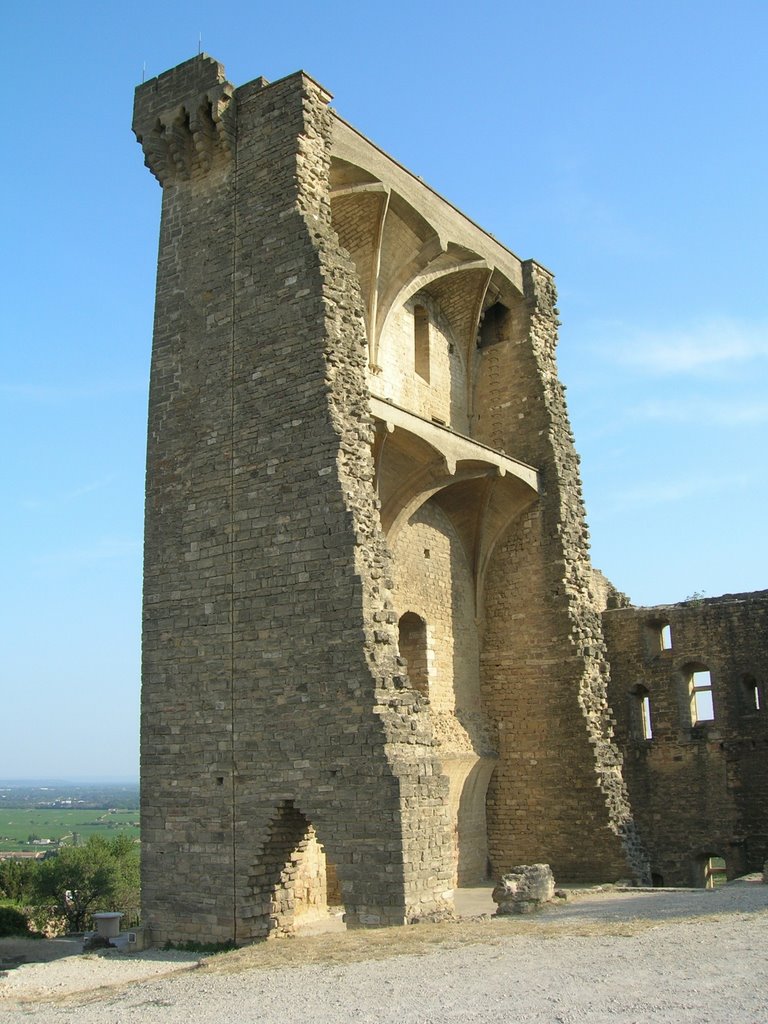 Castle in the Provence by Josep M