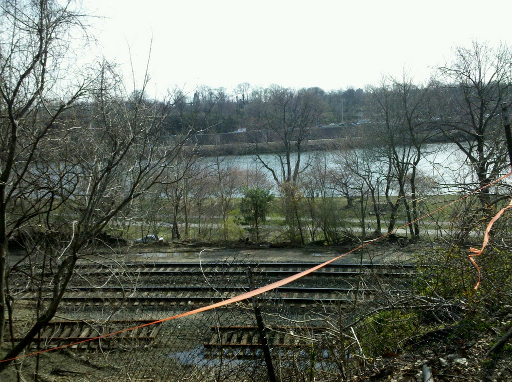 The schuylkill from the disc golf course by jayneo8