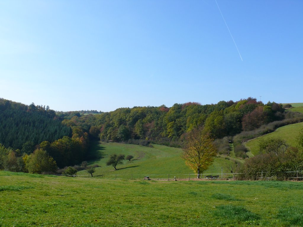 Burg Hohenstein -Ortseingang- by alexander75