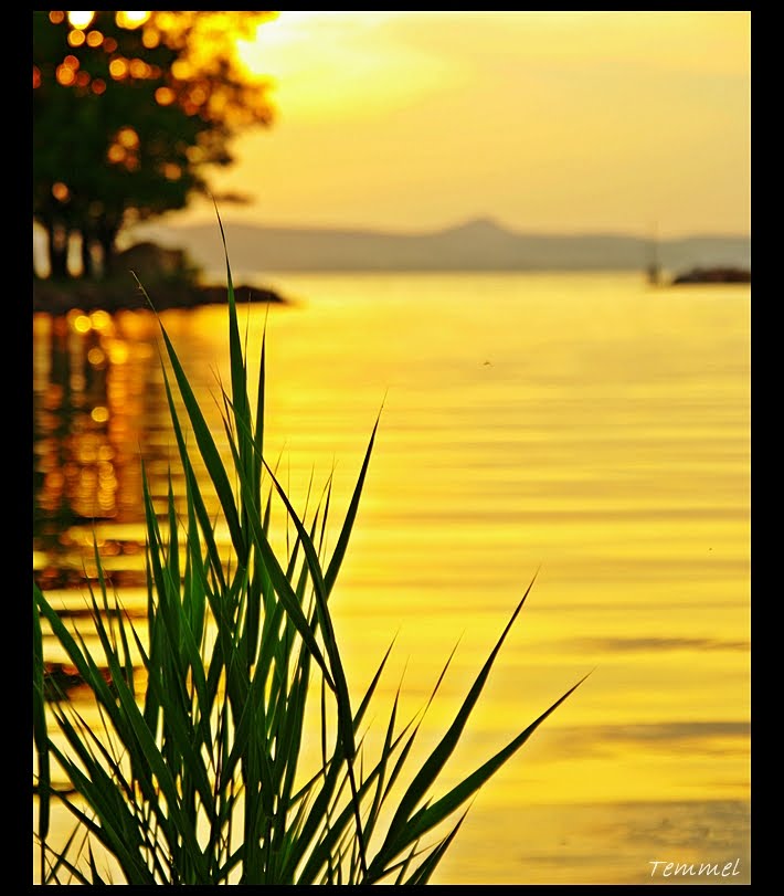 °°Balatonboglár°° by Temesi Melinda