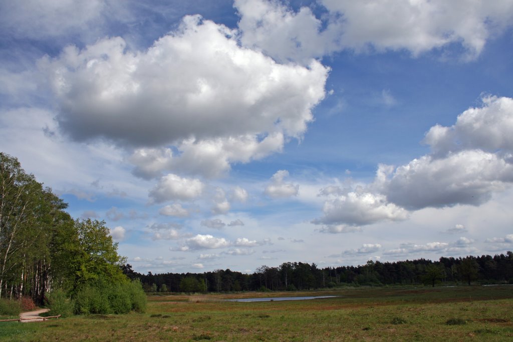 Frühling im Schnaakenmoor by klippklapp