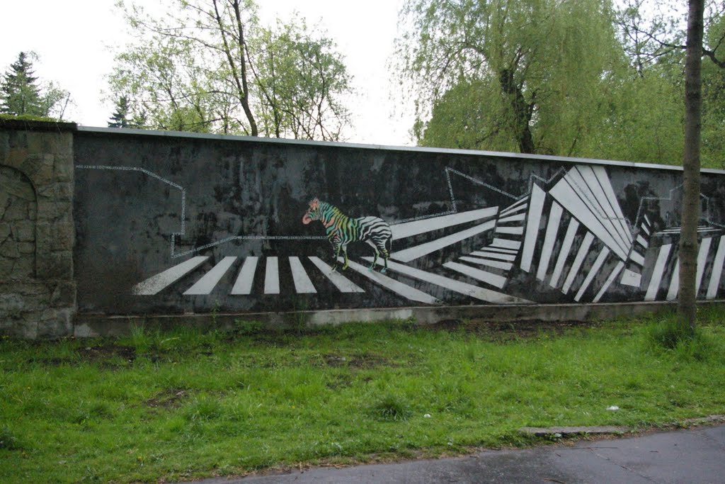 ZOO wall Chorzow mural by masaccio