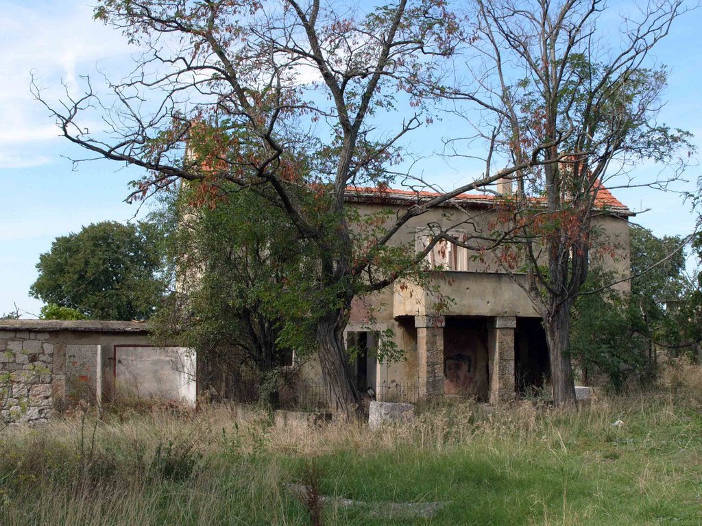 Destroyed houses by Thomas Ritter