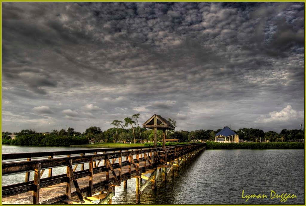 Oldsmar Park Pier, Fl. by Lyman Duggan