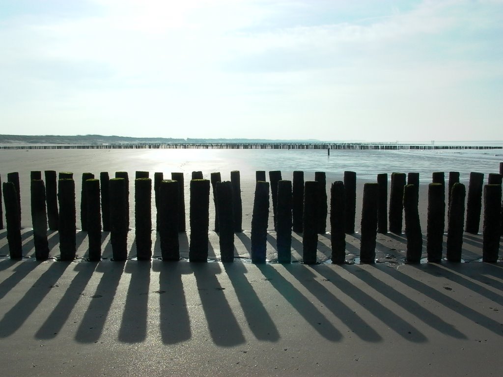 Beach in the Morning by Dietmar Noss