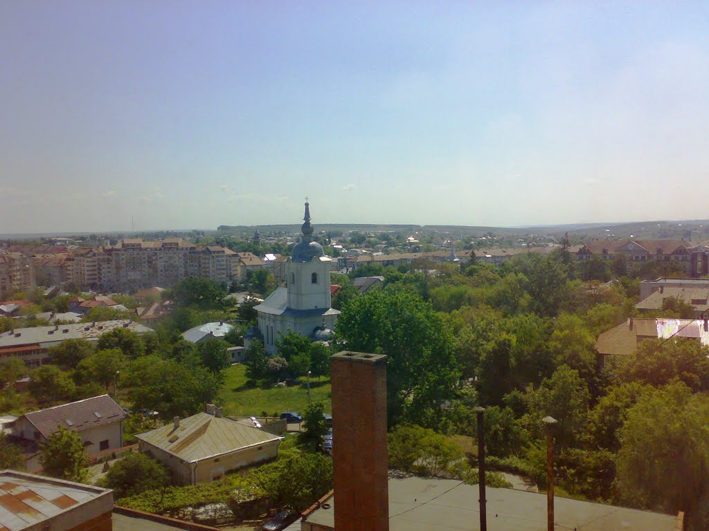 Botosani, overlooking East (Forest Rediu)----Botosani -vedere spre Est (padurea Rediu) by acio552071