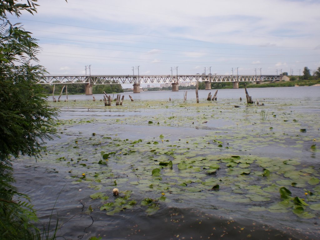 Desenka (Chortoryj) river, view on Petrivskiy railbridge - ріка Десенка (Чорторий), вид на Петрівський залізничний міст by Antonix