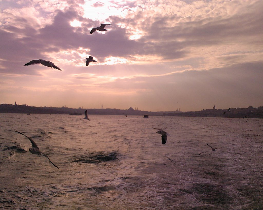 Istanbul 3 by yenergul