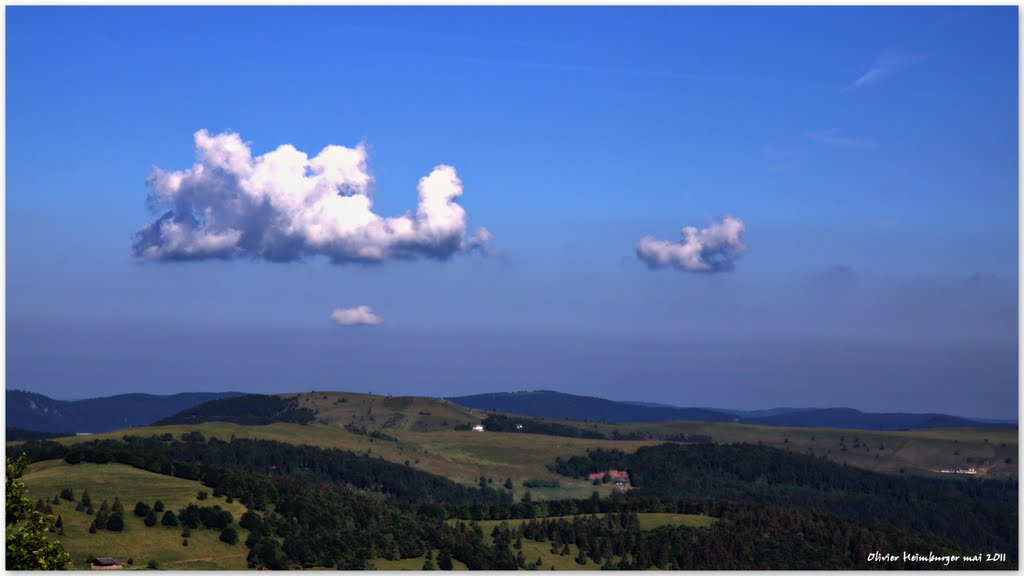 Vue du Grand Ballon d'Alsace by Olivier Heimburger