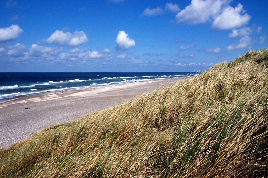 Strand bei Nørre Lyngvig by J Adam