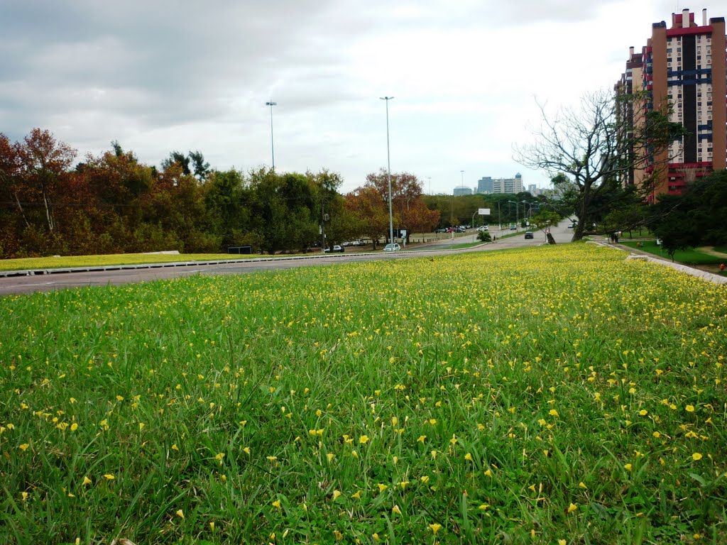 Viaduto Dom Pedro - Liga a Av. Padre Cacique à Av. Borges de Medeiros - POA/RS by Sílvia Schumacher