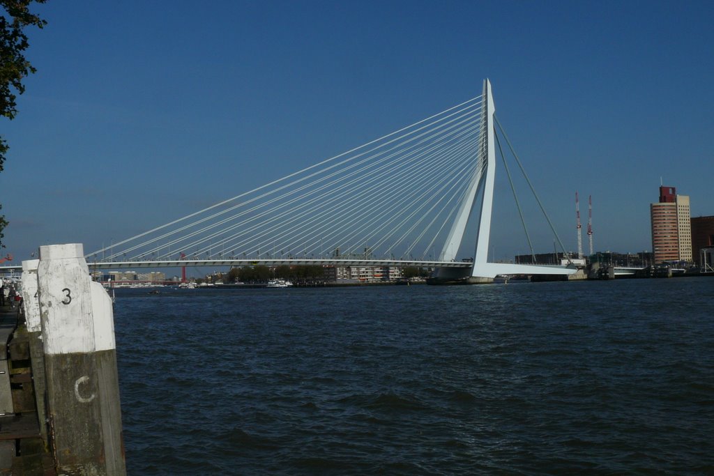 Rotterdam Erasmusbrug by hansdek