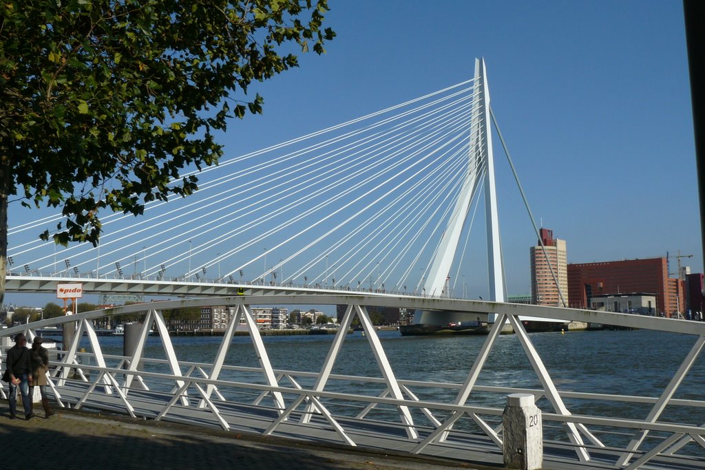 Rotterdam Erasmusbrug by hansdek