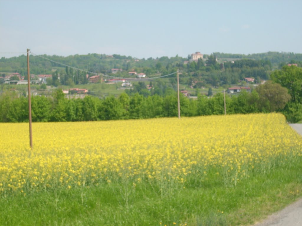 Roppolo Cascina Pra Barattino campo di colza by cervellino1953