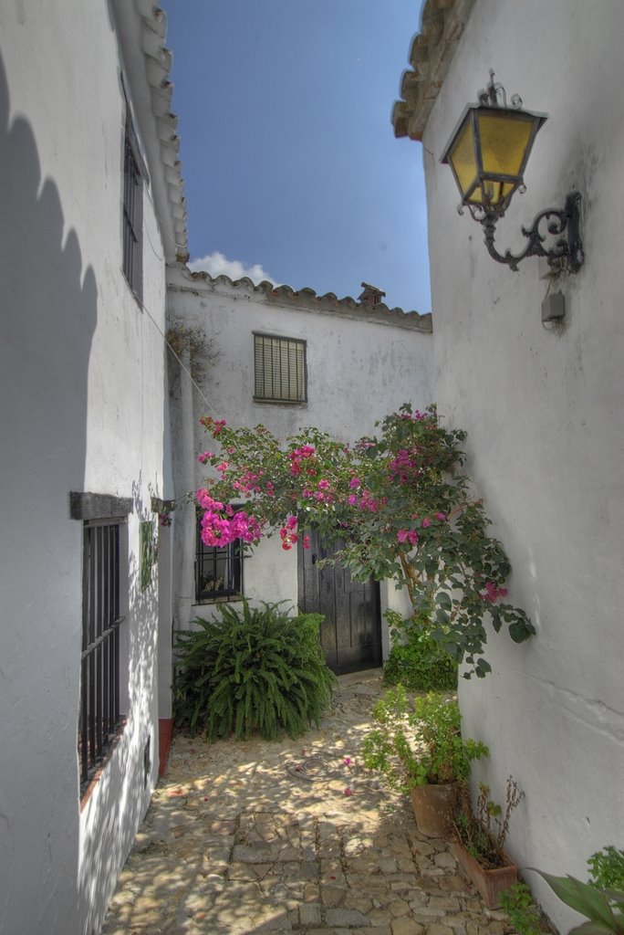 Castellar streets by William Stephens