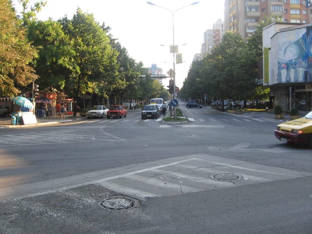 Afternoon traffic in Kraljevo by Vladimir Perović