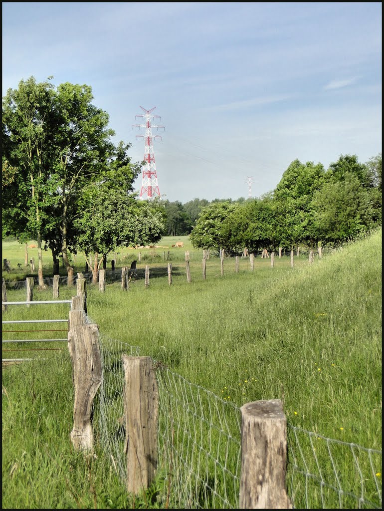 Blick Richtung Süd-West zur Elbekreuzung 2, ganz hinten die Elbekreuzung 1, Mai 2011 by Dan-Fan