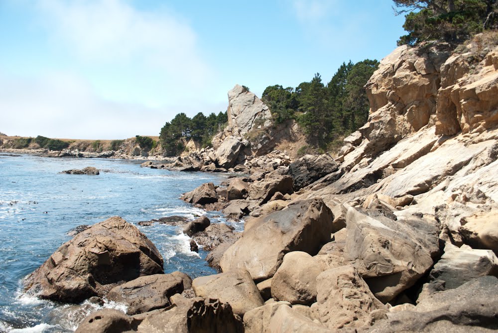 Salt Point - Fisk Mill Cove by marekjaku