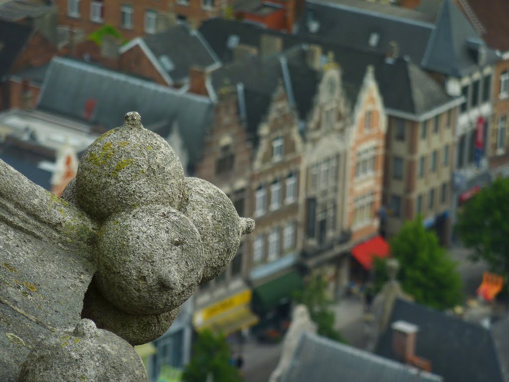 Roof view from the tower of St. Rombouts Cathedral by thor@odin™